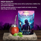 Yerba Mate Instant Tea Powder