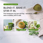 Organic Moringa Powder - 16oz Pouch