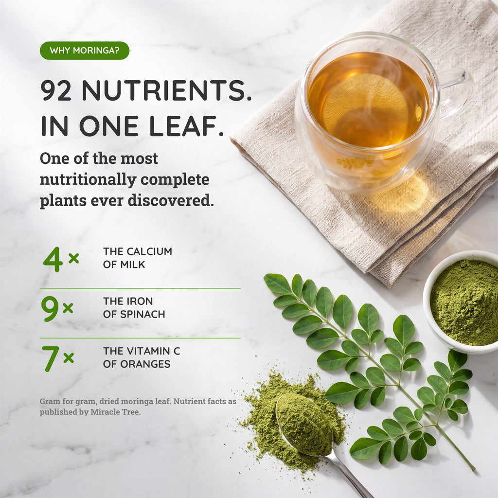 Organic Moringa Tea - Mango - Caffeine-Free Herbal Tea
